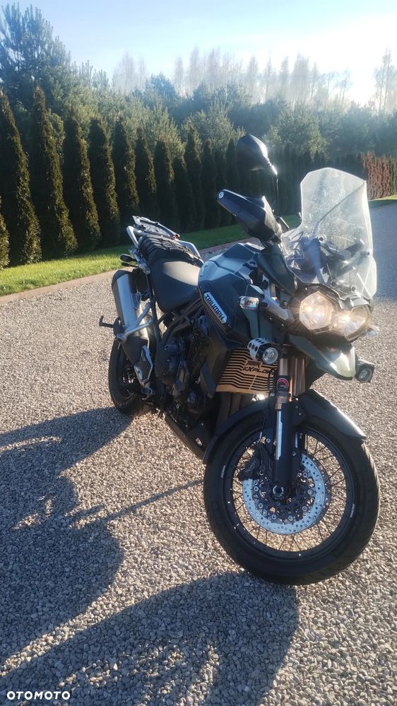 Triumph Tiger - 8