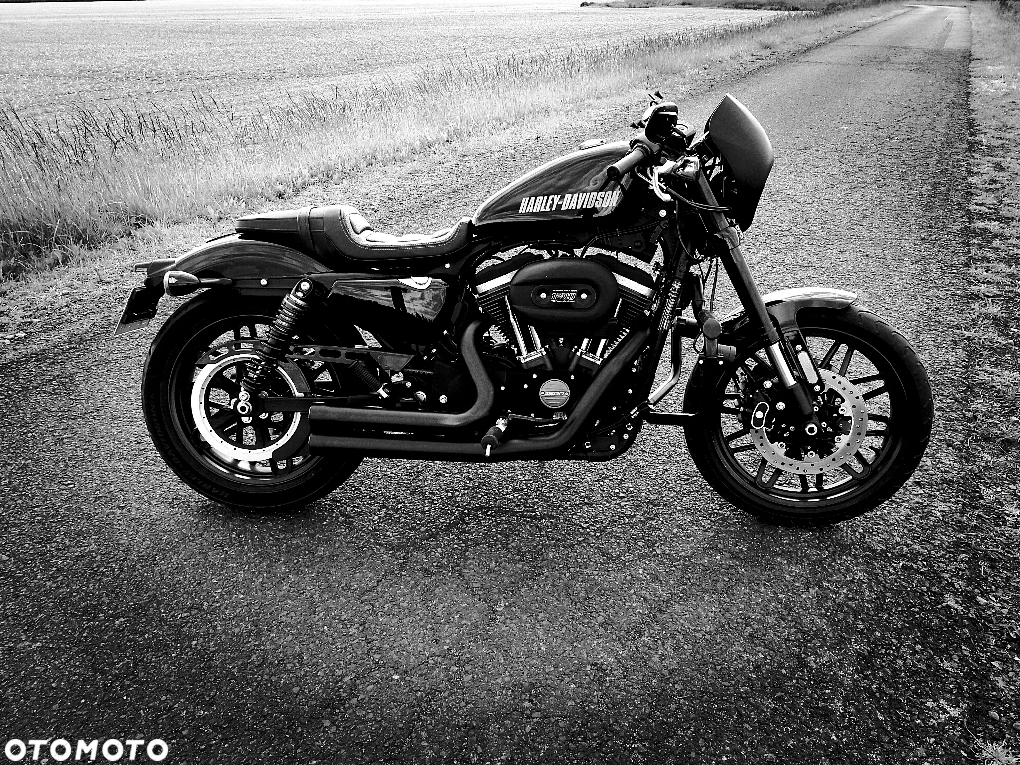 Harley-Davidson Inny - 38
