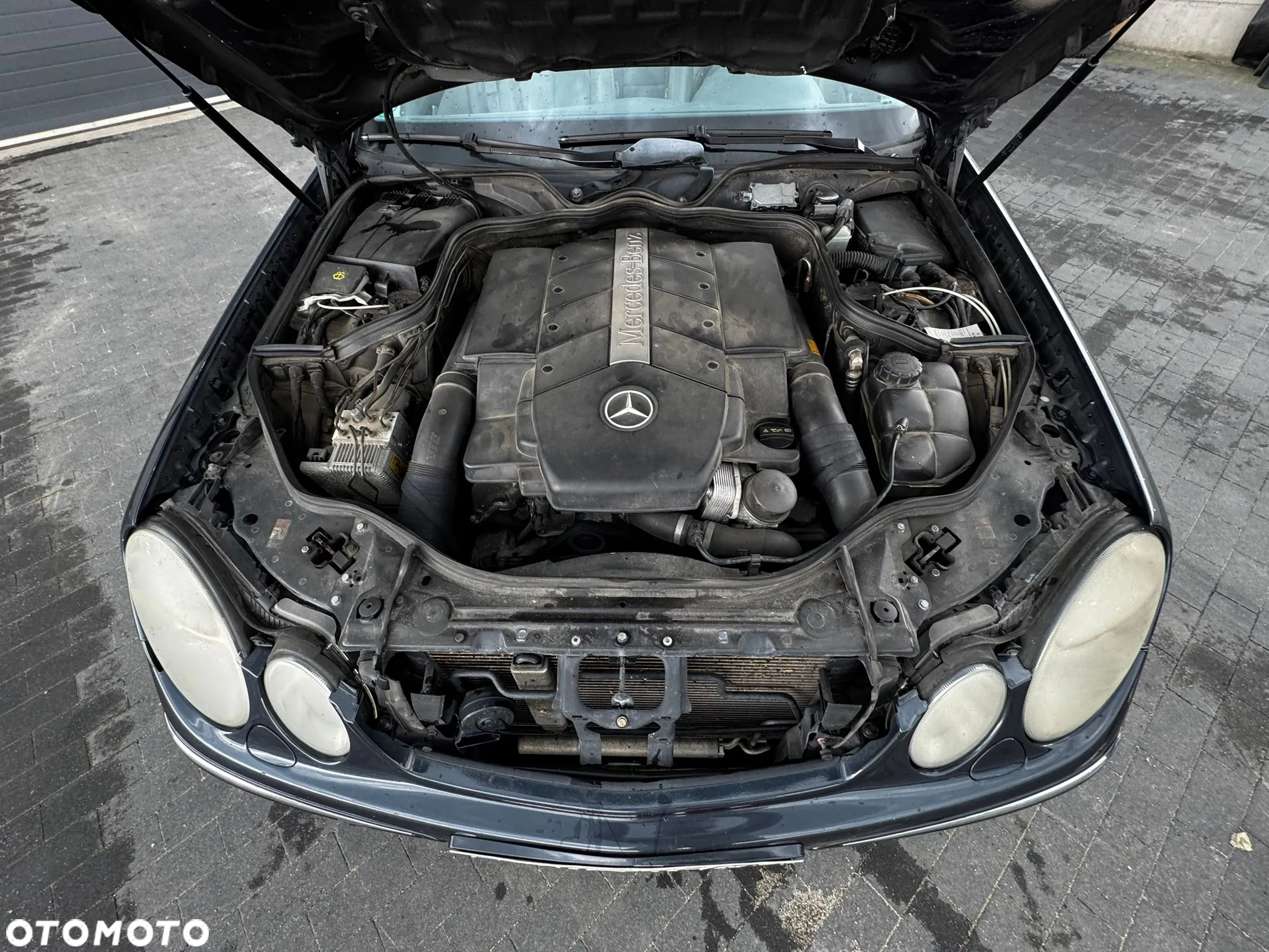 Mercedes-Benz Klasa E 500 7G-TRONIC Avantgarde - 15