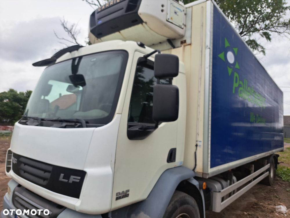 DAF LF - 11