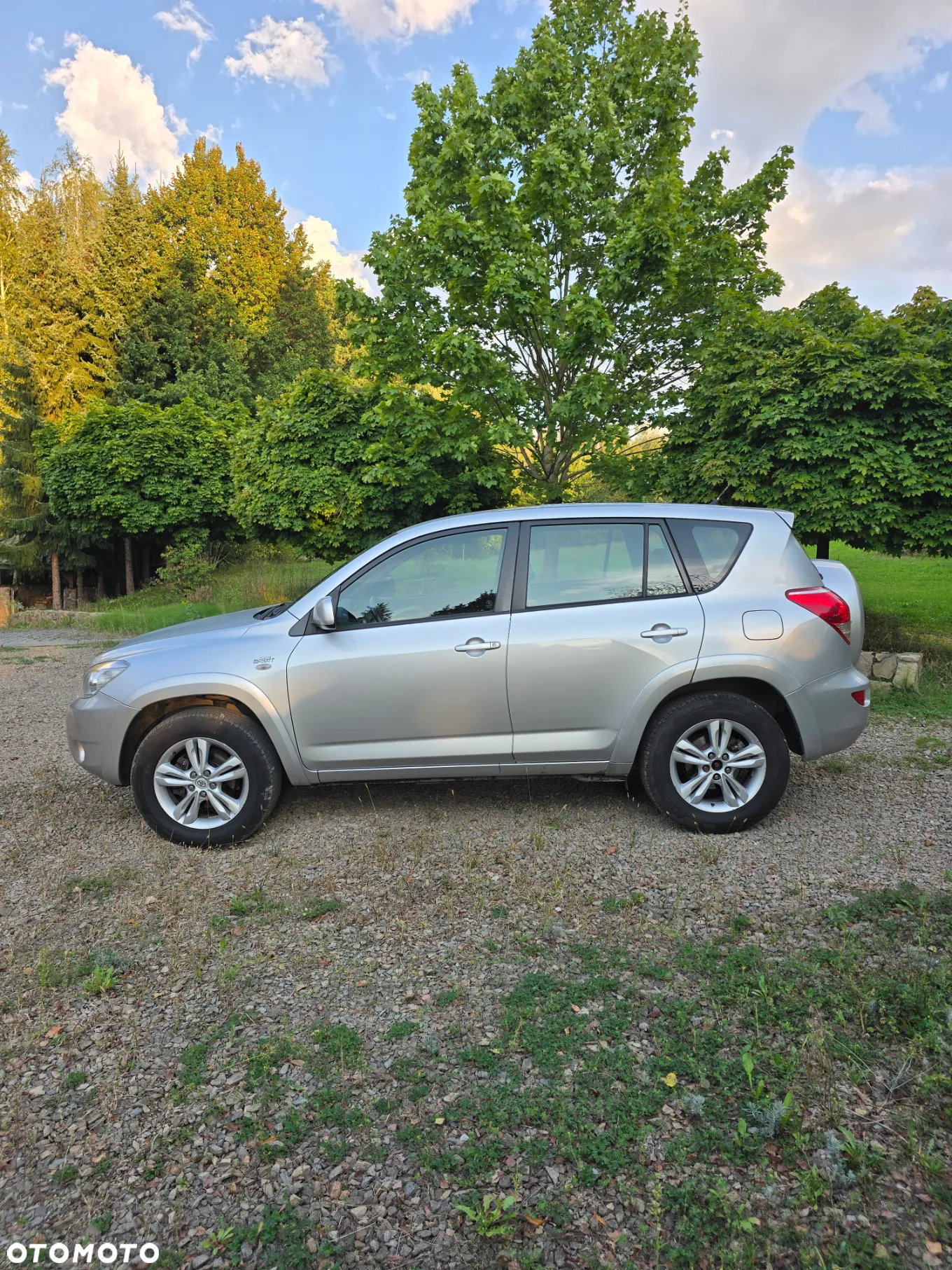 Toyota RAV4 2.2 D-CAT 4x4 Executive - 21