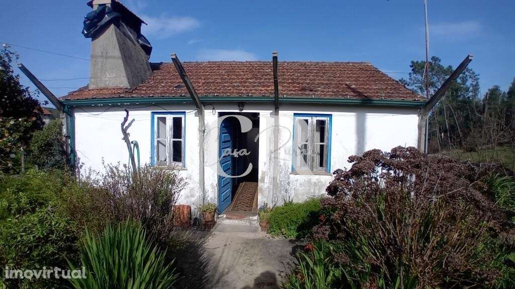 Moradia em pedra em Figueiró dos Vinhos com terreno e poço de água - Grande imagem: 2/40