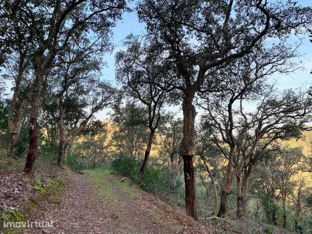 INVESTIMENTO: Projeto Turístico na Serra - Grande imagem: 5/9
