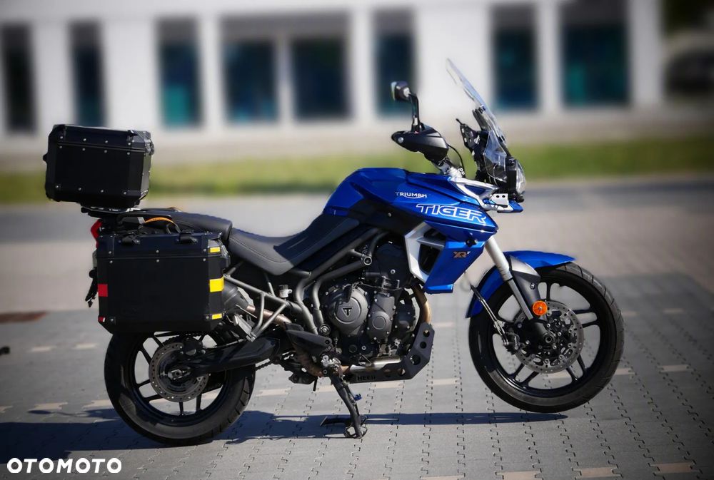 Triumph Tiger - 3