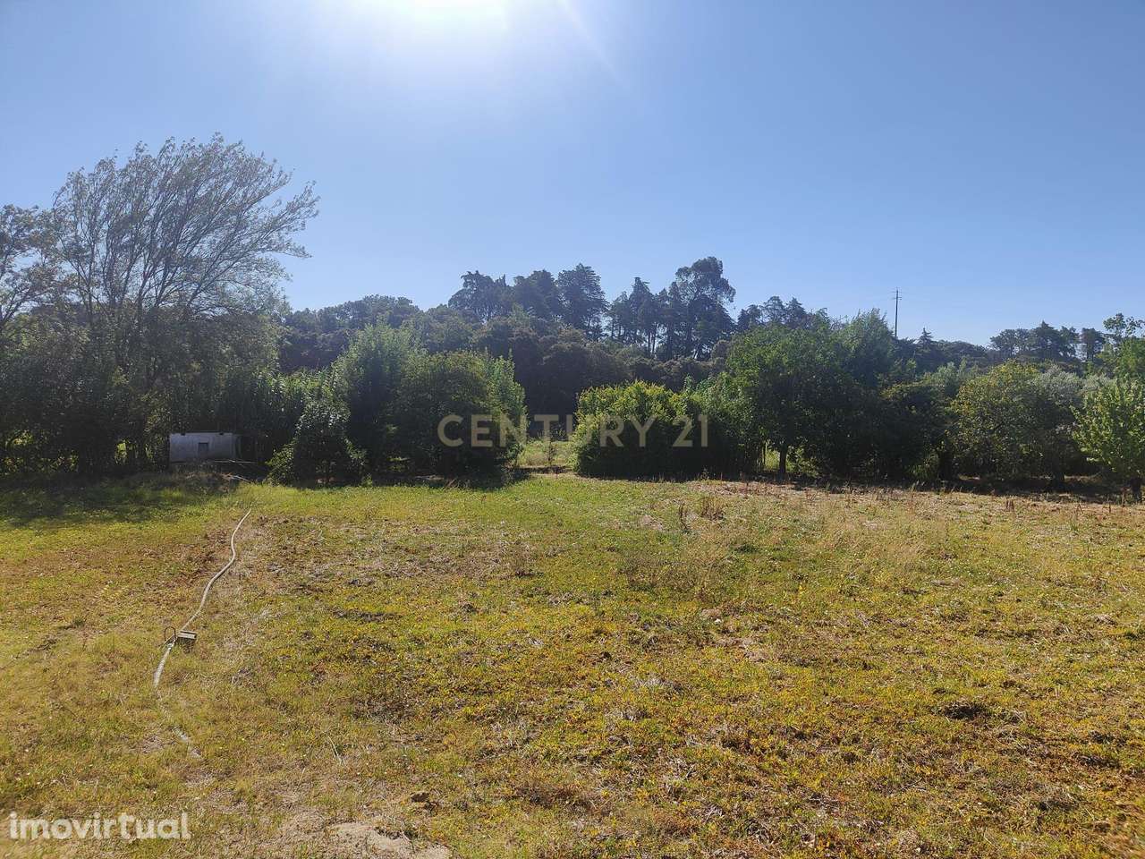 Terreno de 20.240 m², Torres Novas Chancelaria - Grande imagem: 3/6