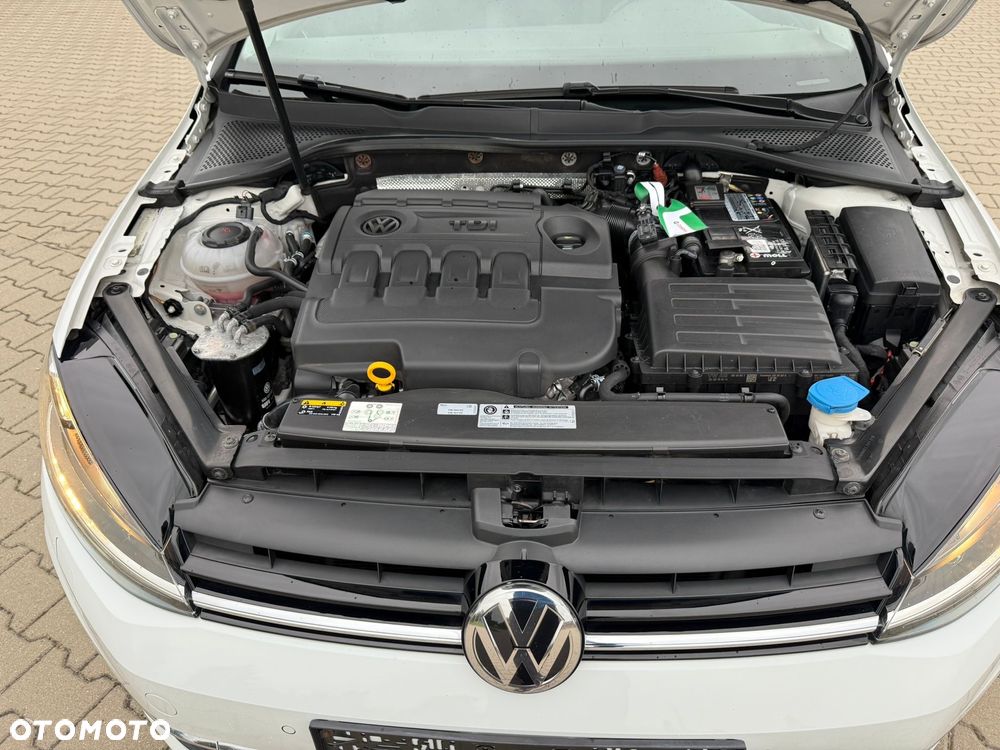 Volkswagen Golf 1.6 TDI BlueMotion Technology Trendline - 30