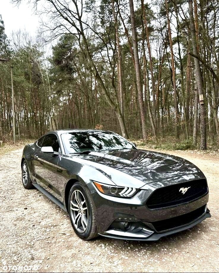 Ford Mustang 2.3 EcoBoost - 1