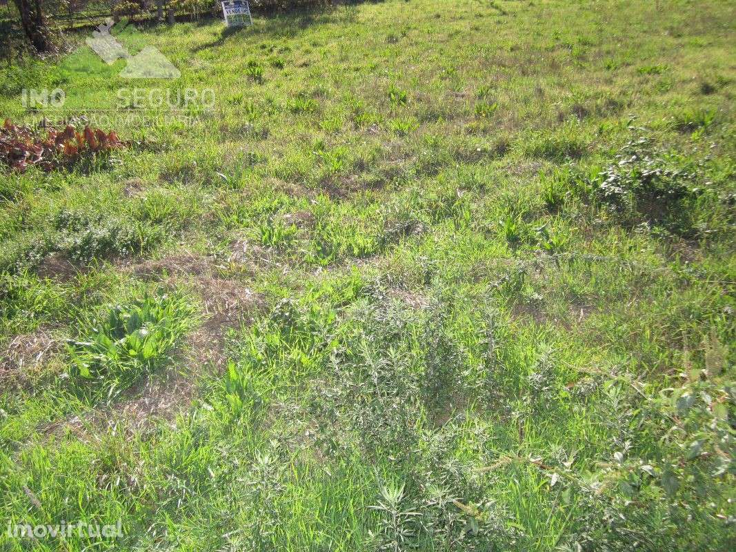 Terreno p/construção, centro de Lobão - Grande imagem: 5/11