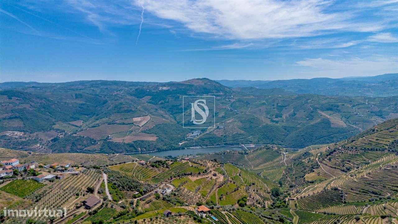 Terreno Rústico  Venda em Poiares e Canelas,Peso da Régua - Grande imagem: 5/19