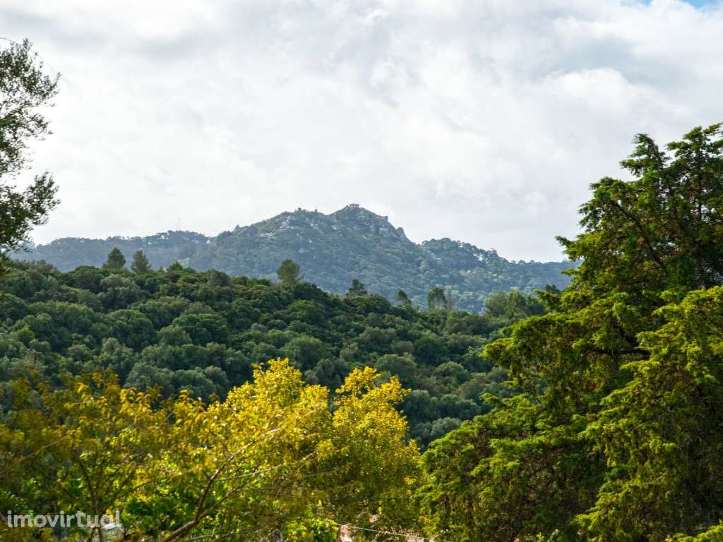 Moradia, jardim vista Serra, Cabriz-Sintra - Grande imagem: 3/34