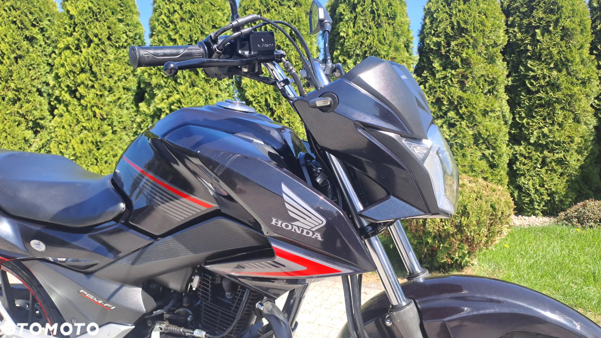Honda CBF - 8