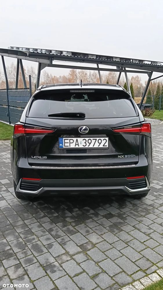 Lexus NX 300 Optimum AWD - 3