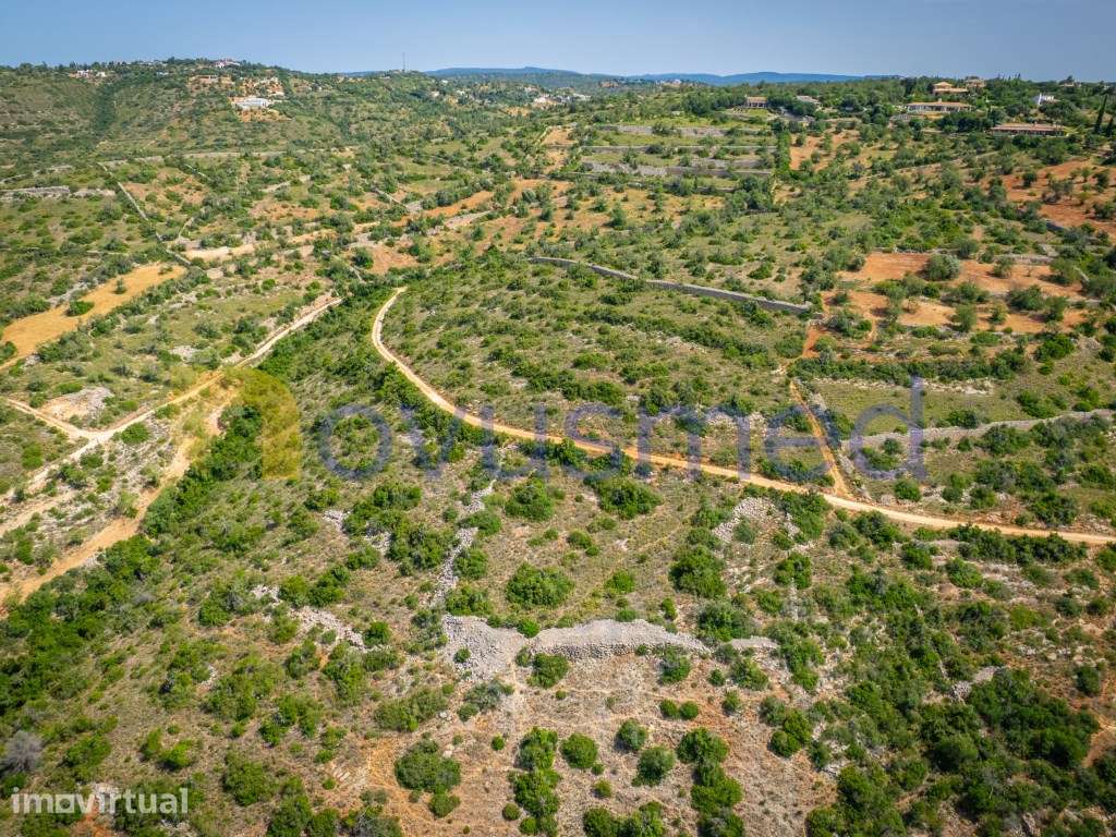 Terreno Rústico com 6000m2 com Vista Panorâmica sobre o Campo e o M... - Grande imagem: 4/24