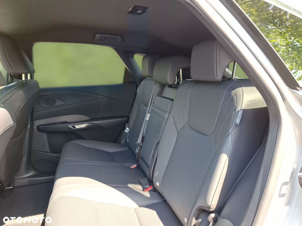 Lexus RX - 14