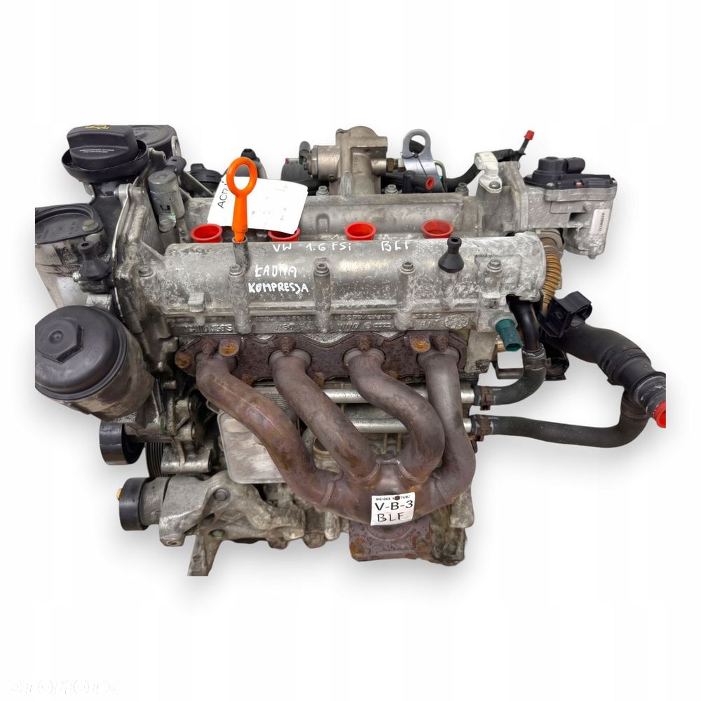 SILNIK BLF Audi A3 II 8P Skoda Octavia II 1.6 FSI 115KM benzyna 94 555km - 1