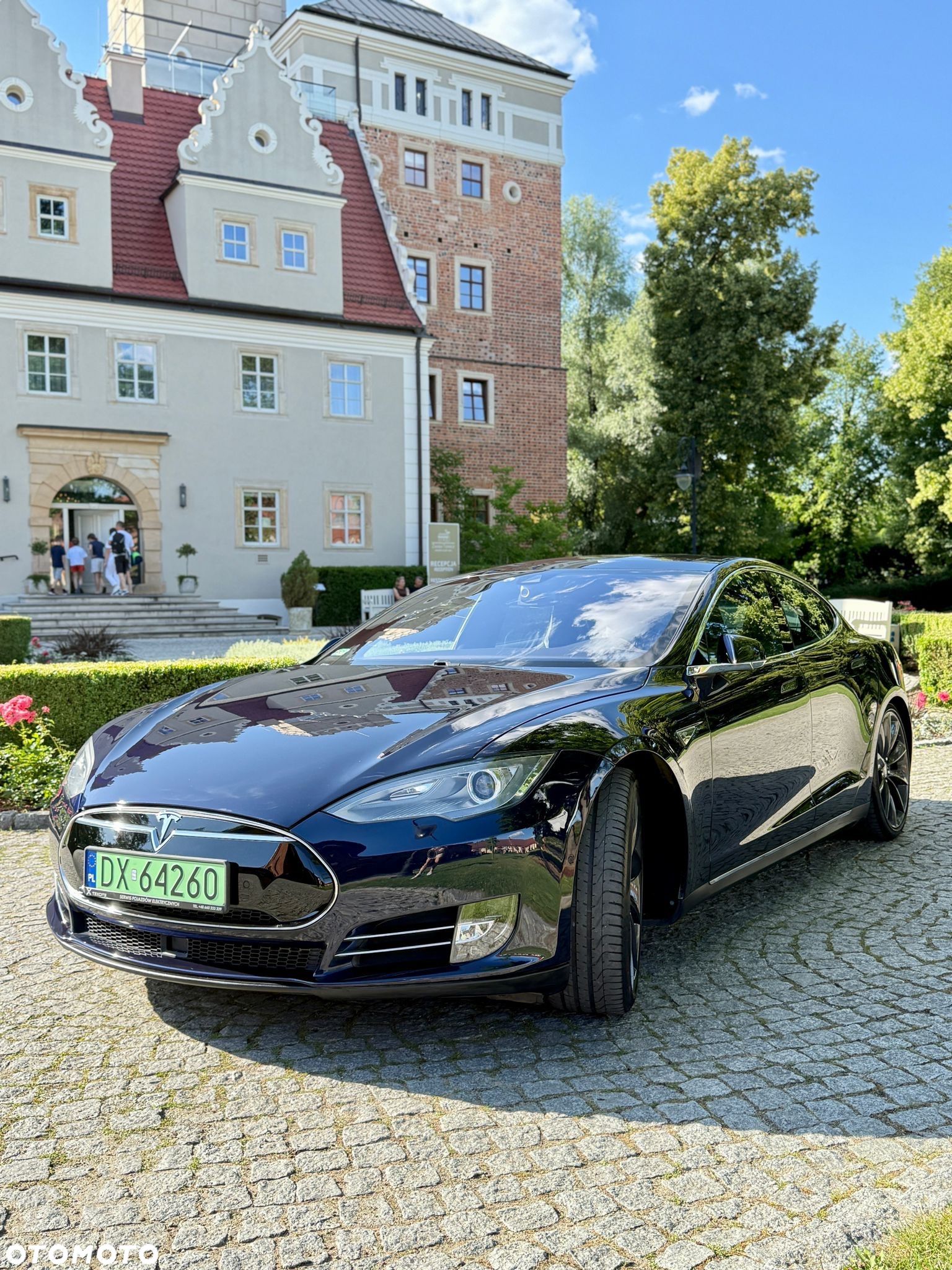 Tesla Model S Performance - 1