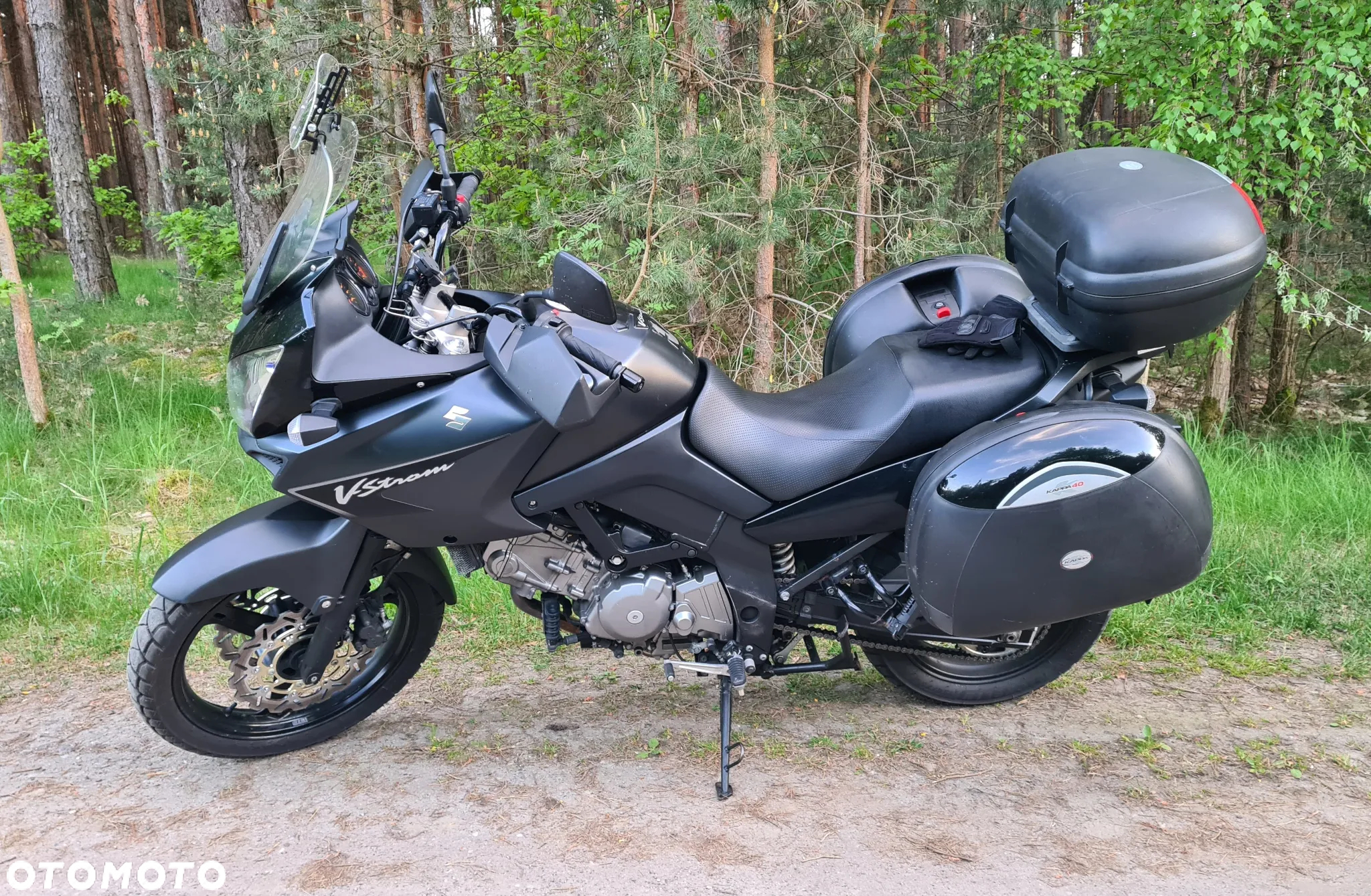Suzuki DL - 3