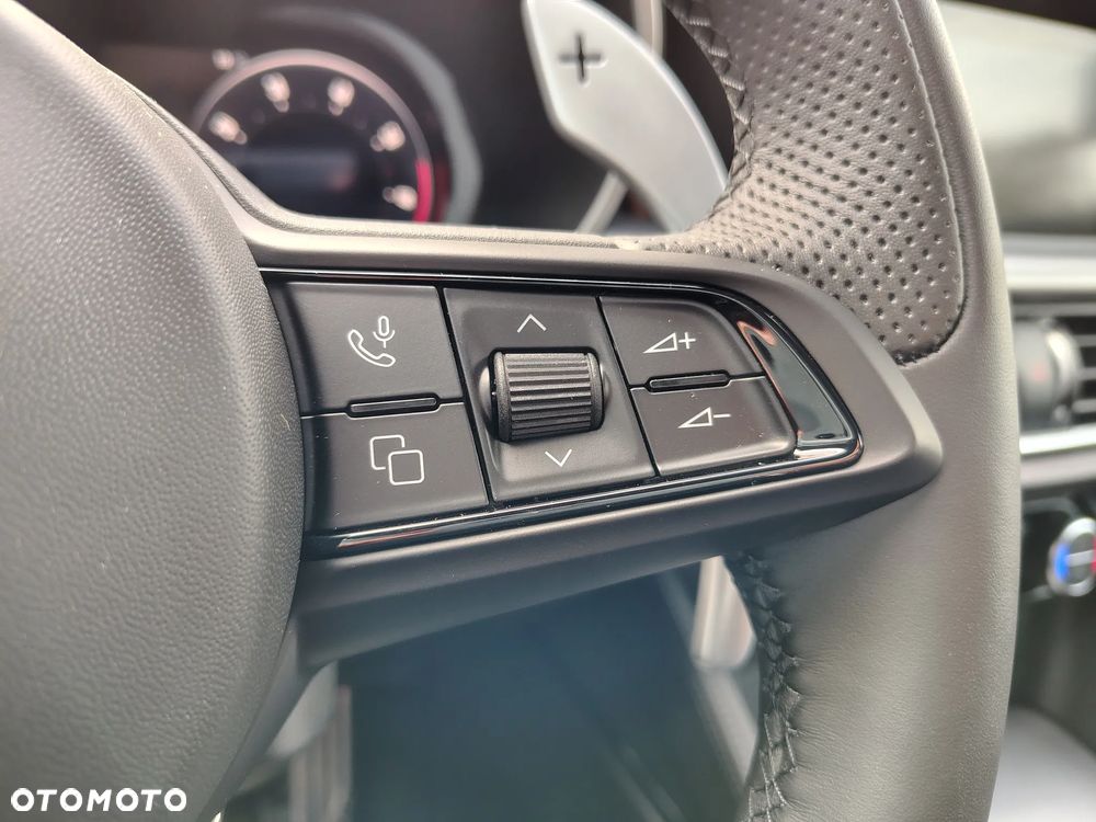 Alfa Romeo Stelvio 2.0 Turbo Veloce Q4 - 13