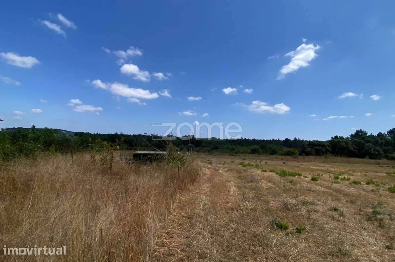 Terreno Urbanizável Reconco - Mealhada - Grande imagem: 4/17