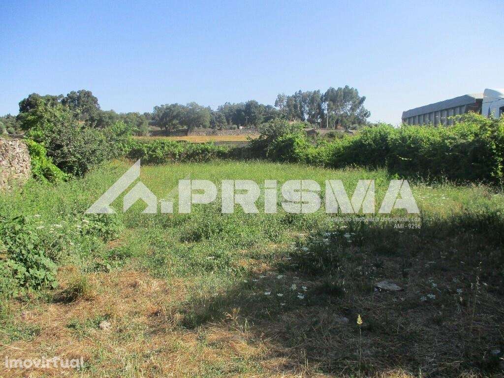 Terreno Rústico para venda em Alcains, Castelo Branco - Grande imagem: 5/7