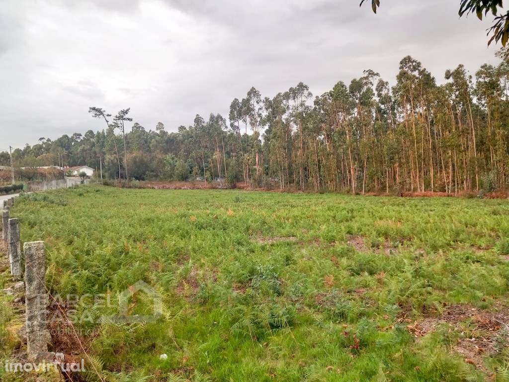 Terreno de construção em Igreja Nova - Barcelos - Grande imagem: 5/9
