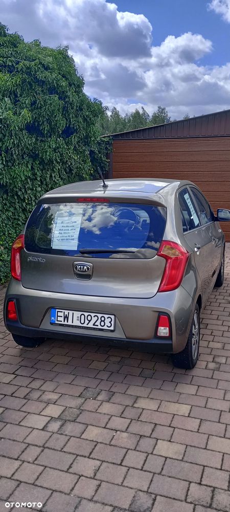 Kia Picanto 1.0 Edition 7 - 1