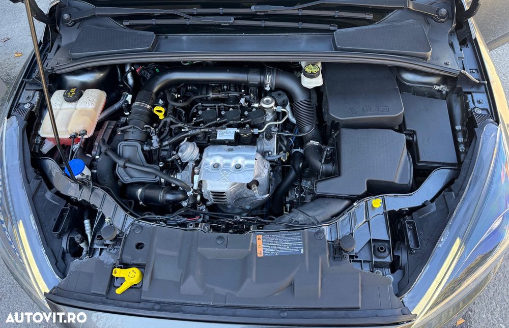 Ford Focus - 19