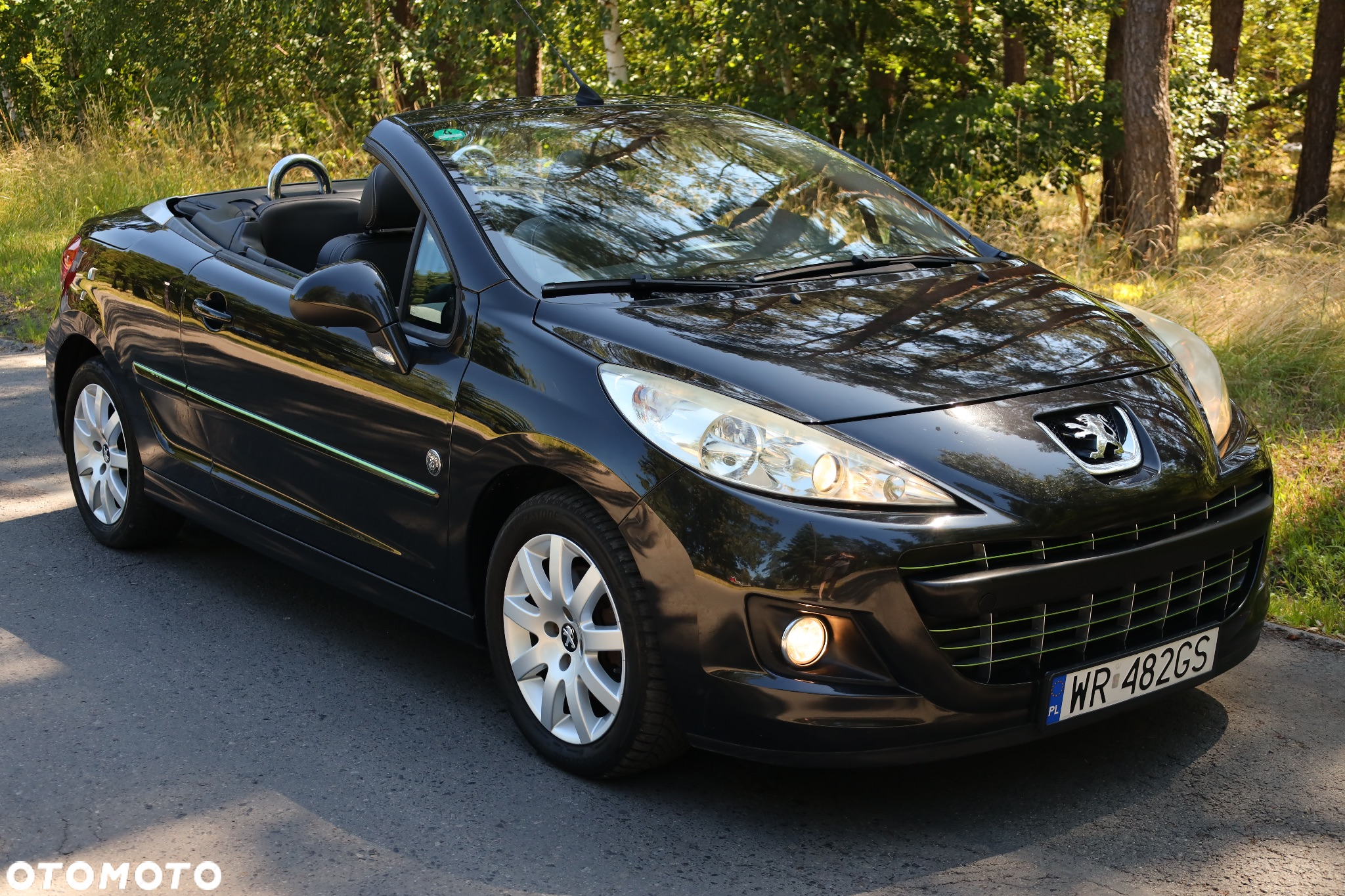 Peugeot 207 CC 155 THP Roland Garros - 12