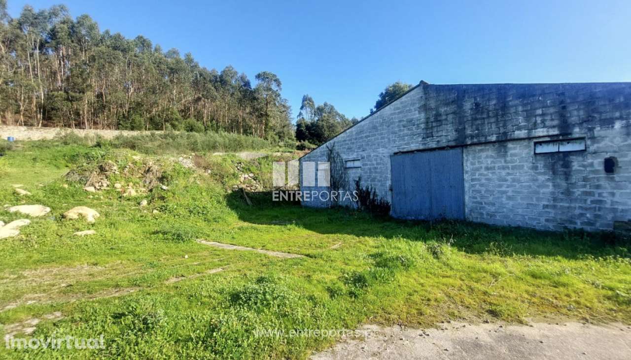 Venda de Terreno com 3695 m2 com benfeitorias, Arcos, Vila do Conde - Grande imagem: 3/22