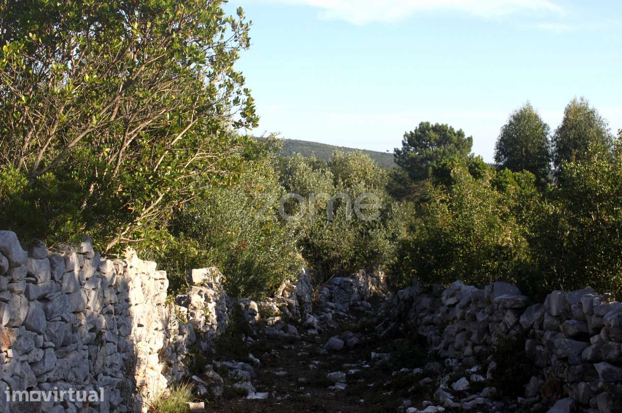 Terrenos Murados ( Cerrados ) em Mira de Aire