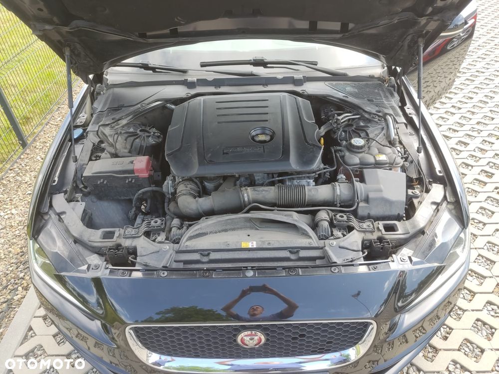 Jaguar XE E-Performance Pure - 12