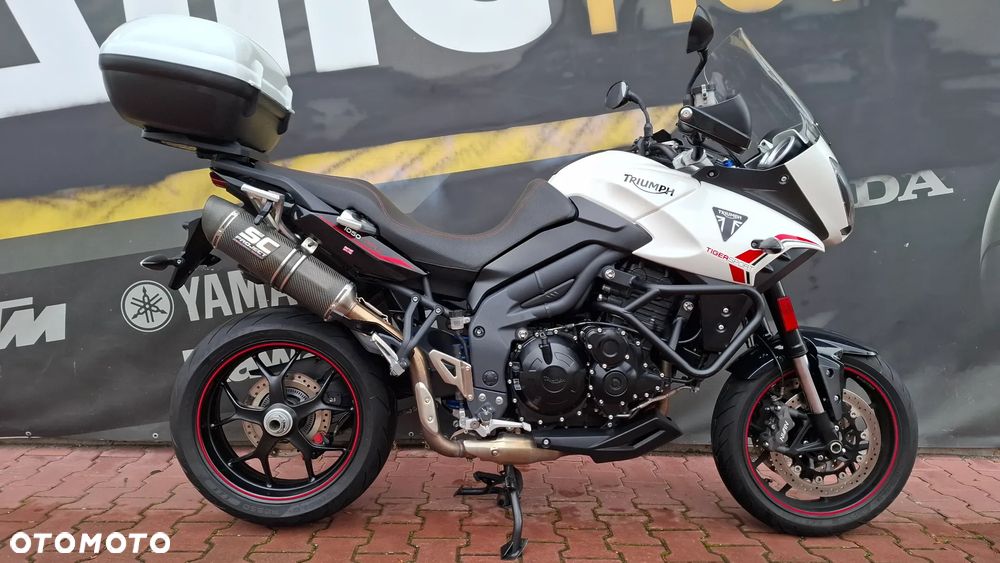 Triumph Tiger - 3