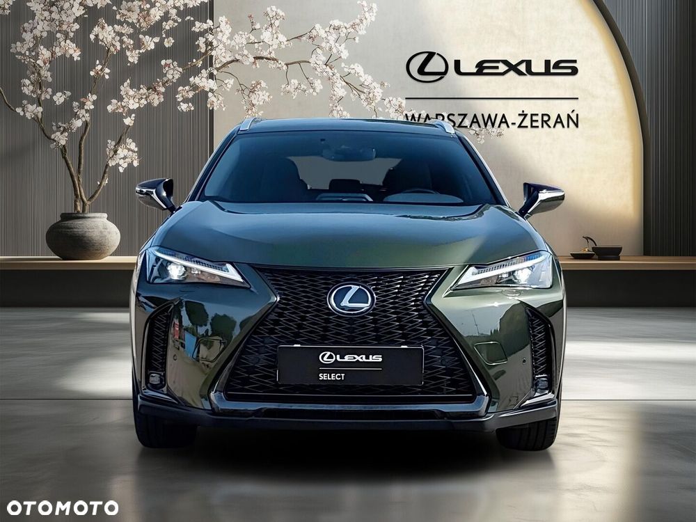 Lexus UX 250h GPF F Sport Design 2WD - 10