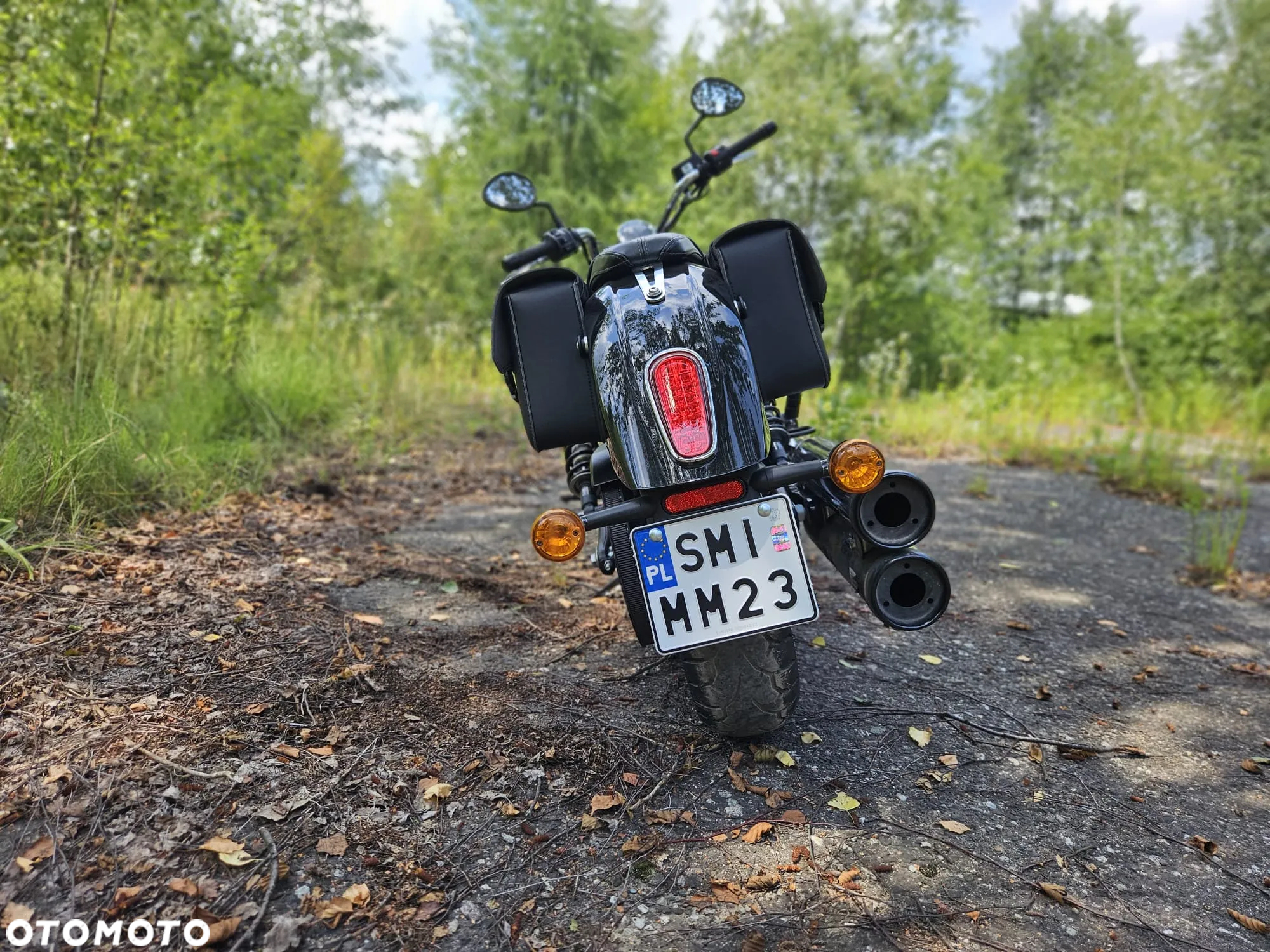 Indian Scout - 4