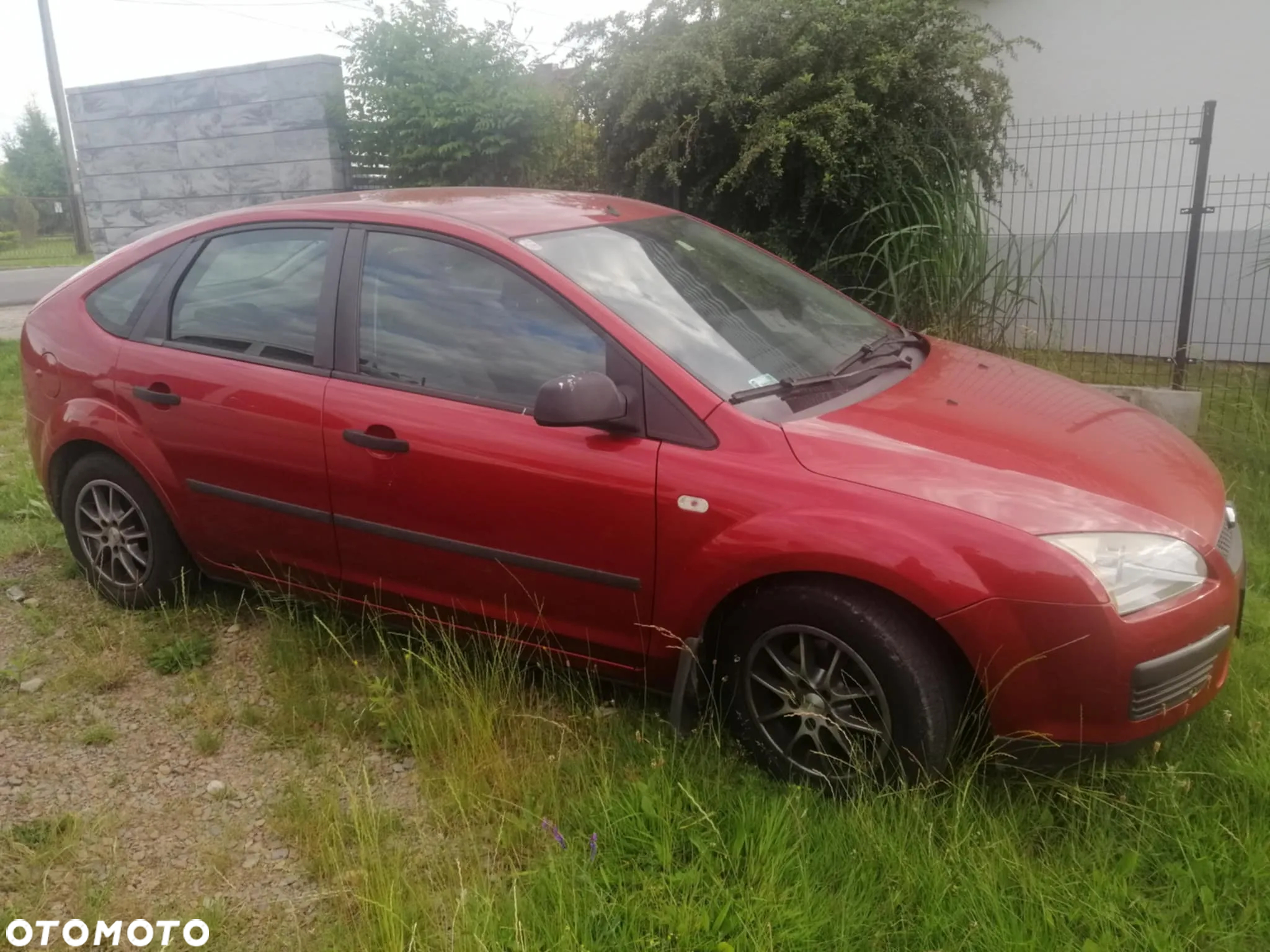Ford Focus - 5