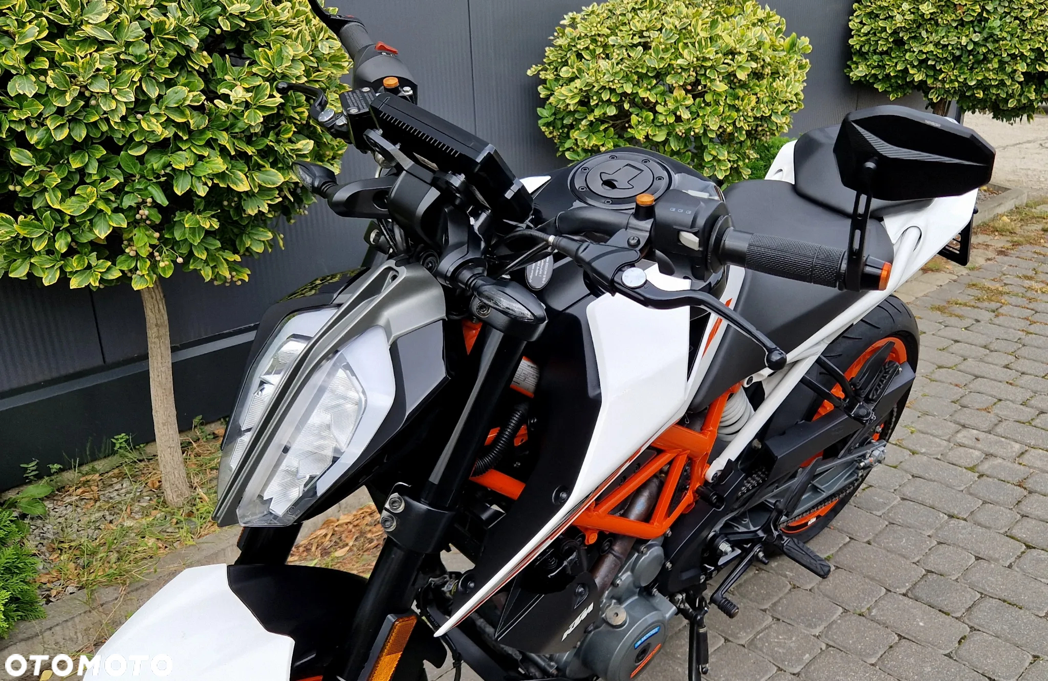 KTM Duke - 24