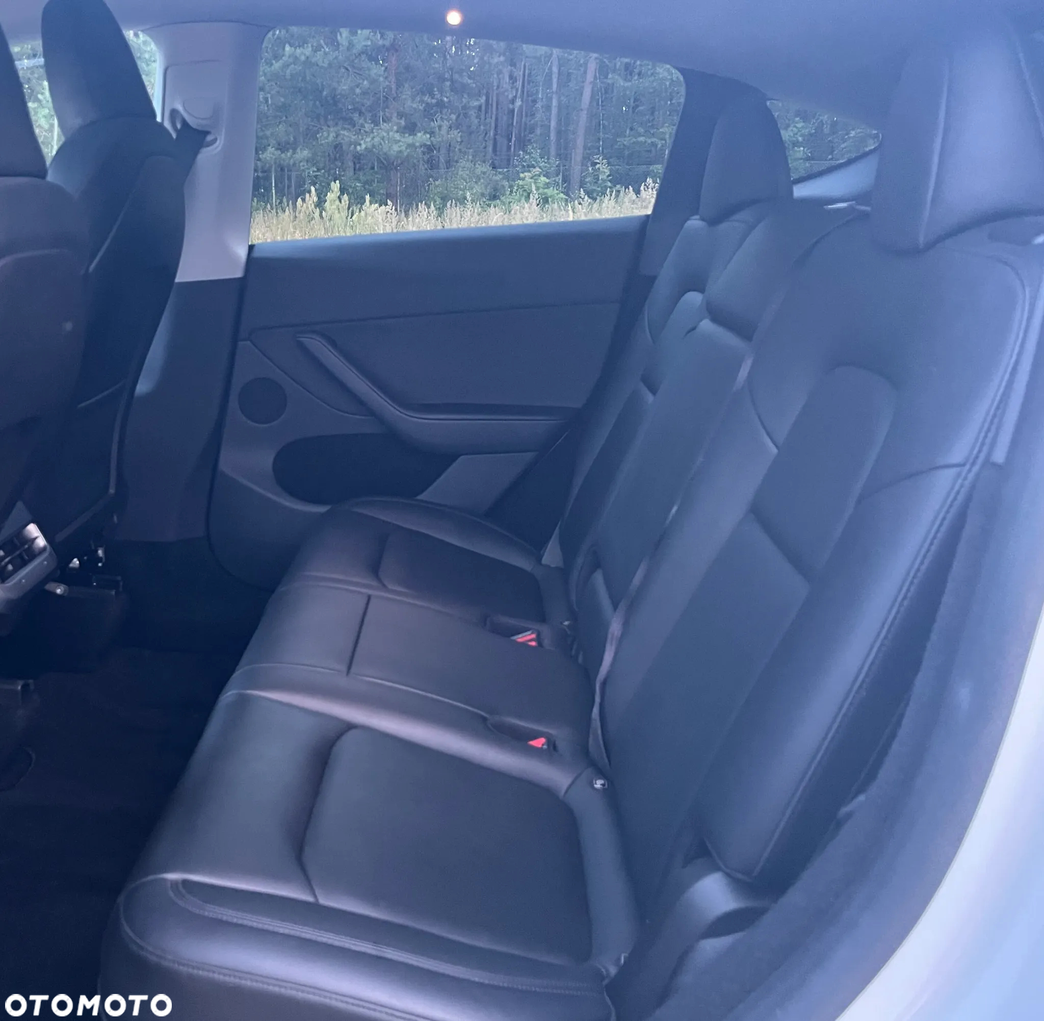 Tesla Y Long Range RWD - 6