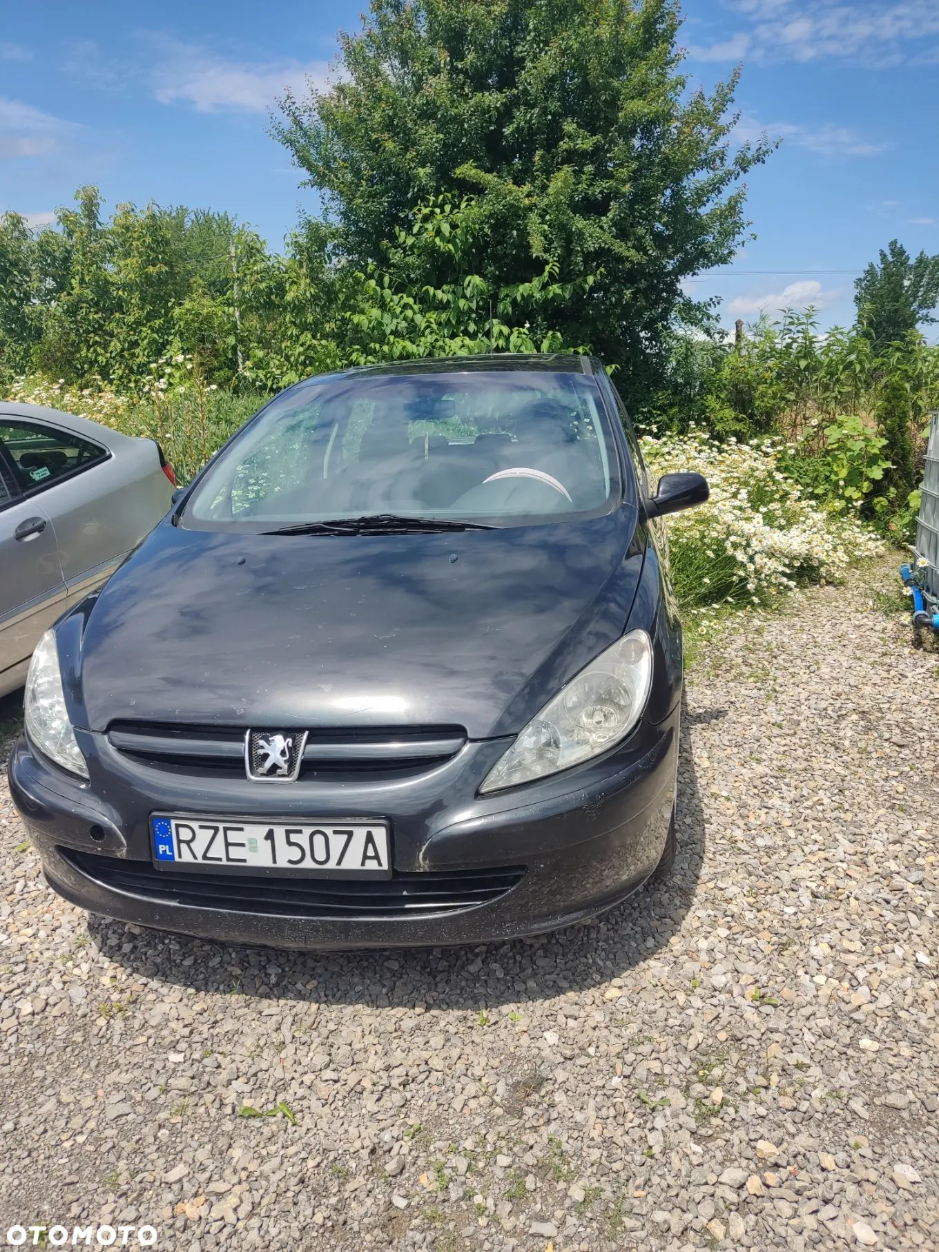 Peugeot 307 - 1