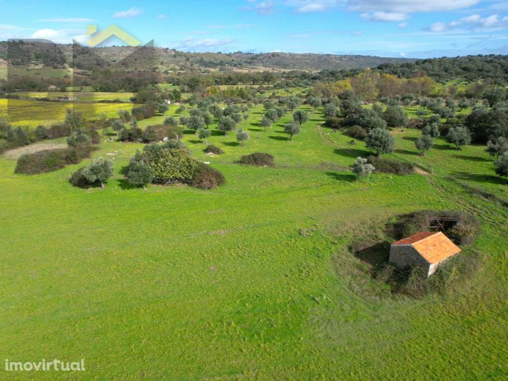 Quinta com 3ha em Oledo, Idanha-a-Nova - Grande imagem: 3/30