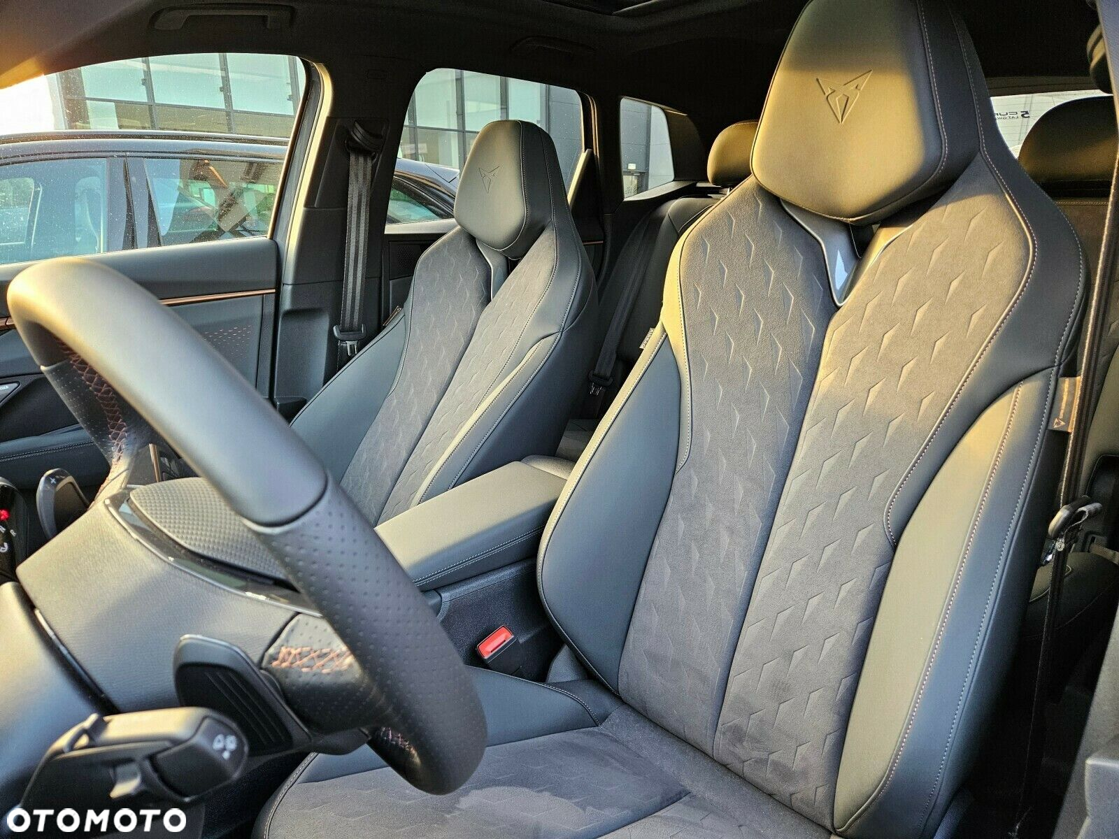 Cupra Terramar - 15