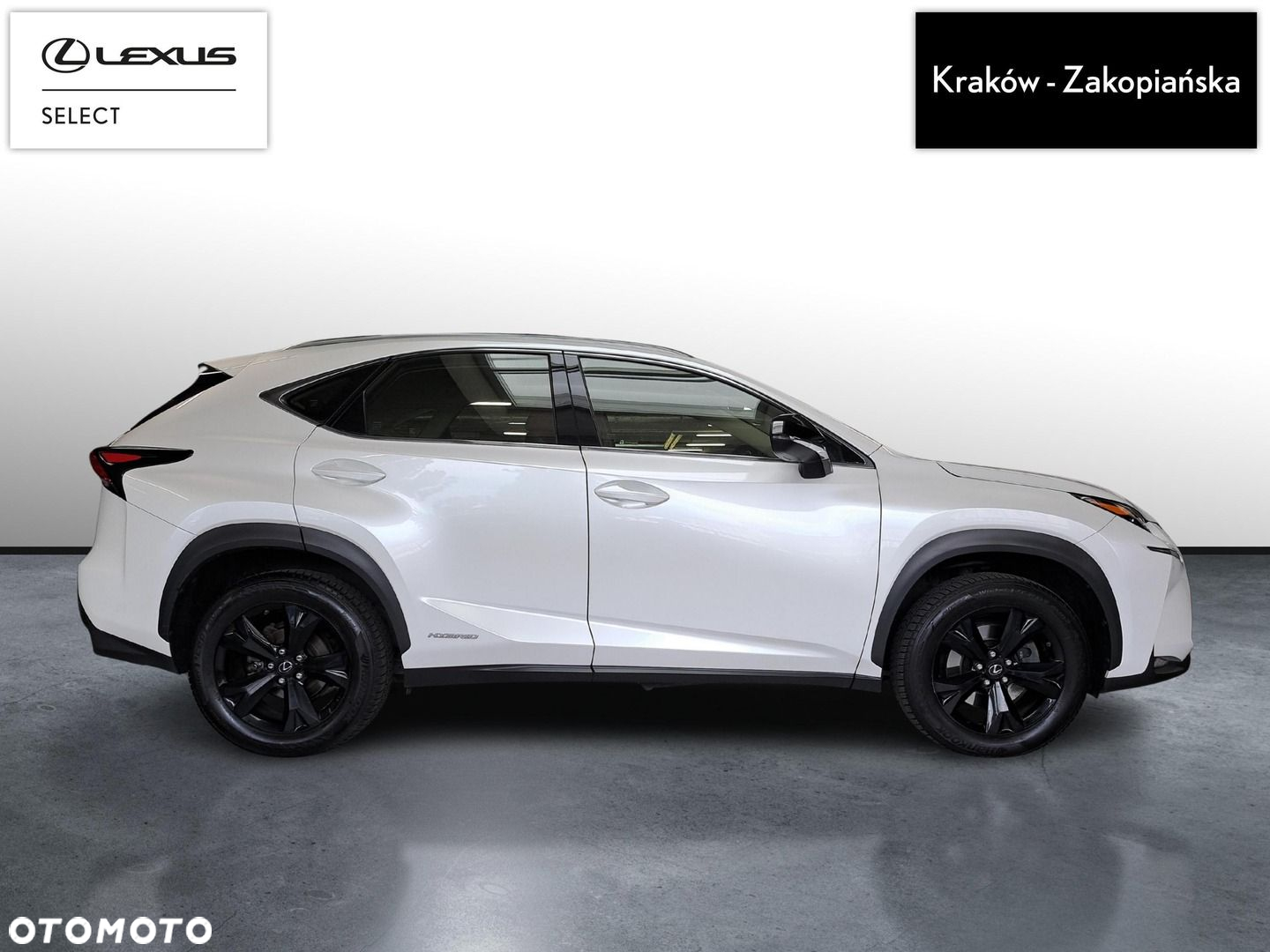 Lexus NX - 6
