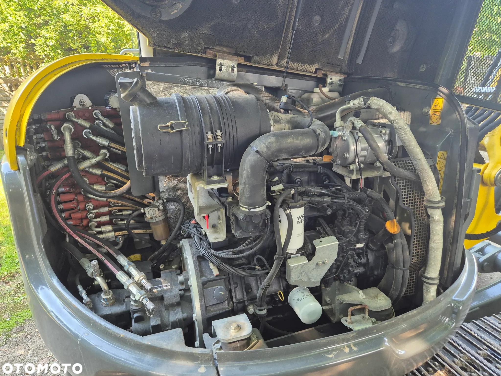 Wacker Neuson 6003 - 16