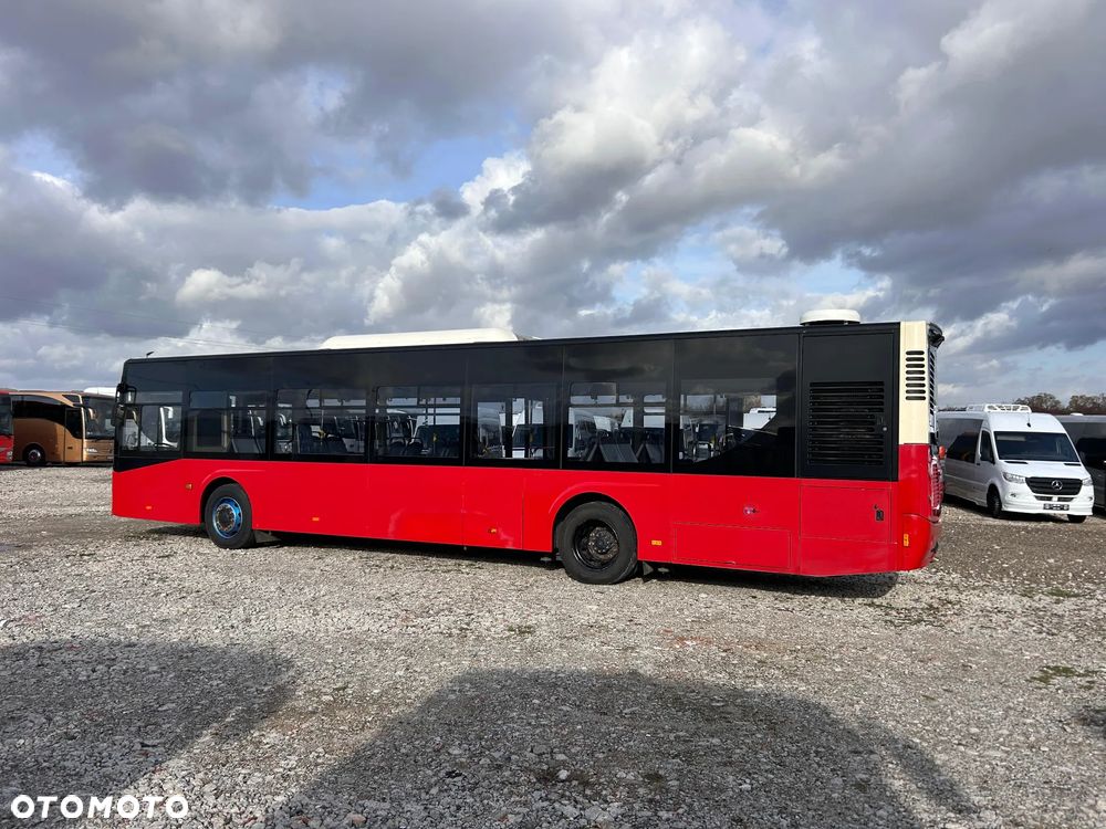 Inny Guleryuz Ecoline 12 - 7