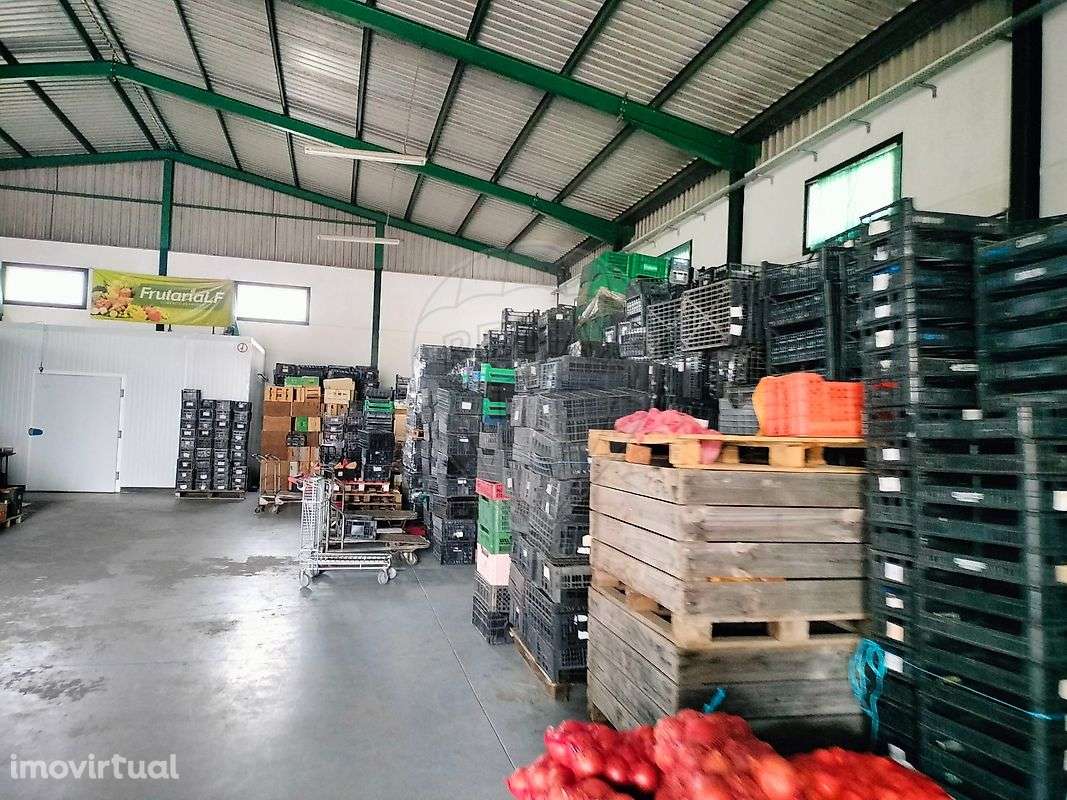 Armazém T2 para venda - Grande imagem: 4/14