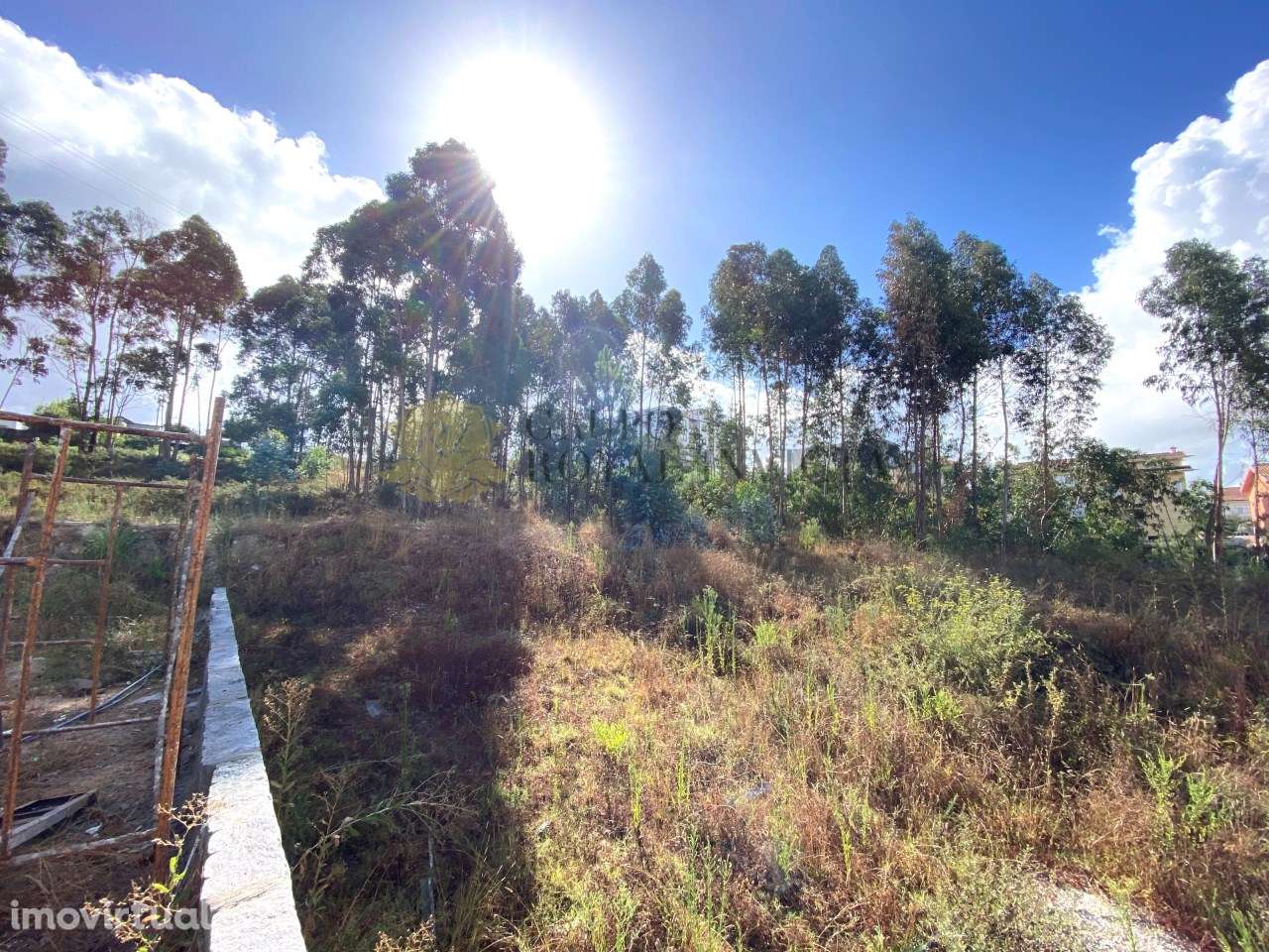 Terreno com 5800m2 em Gondomar - Grande imagem: 4/4