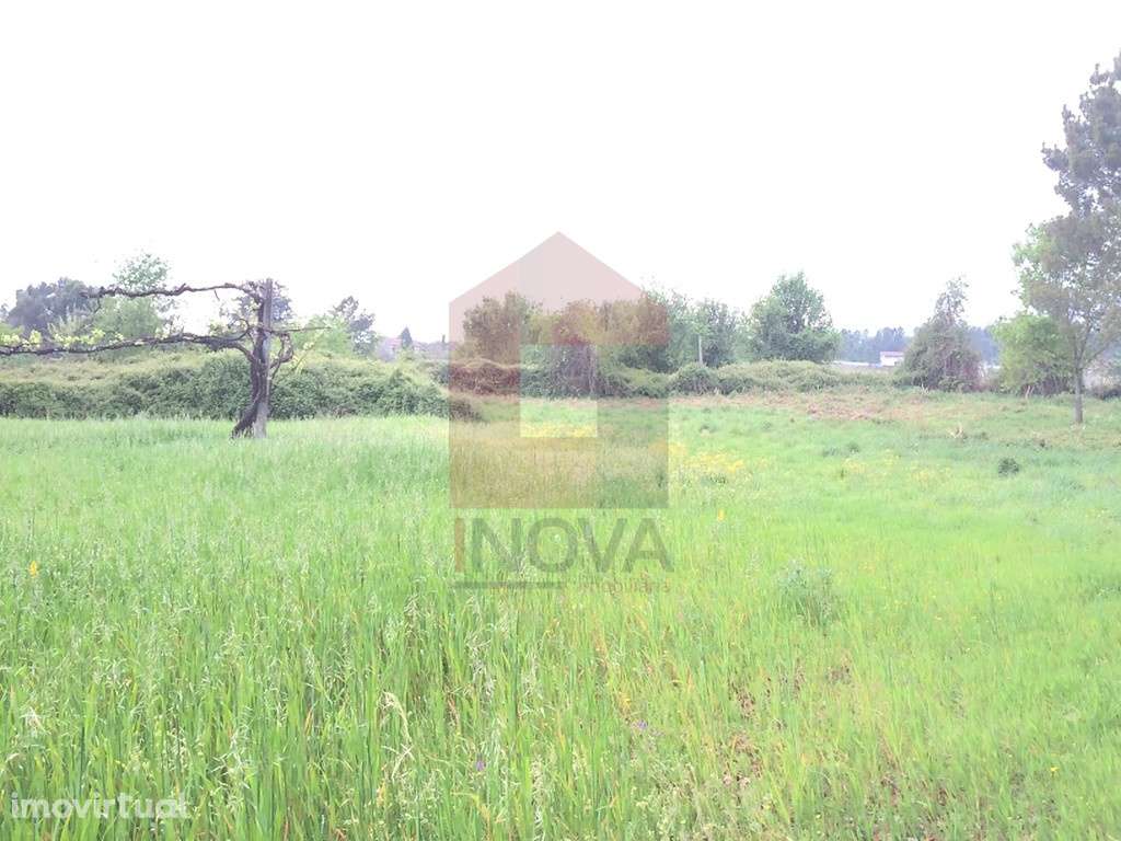 Terreno agrícola, Coucieiro - Grande imagem: 5/13