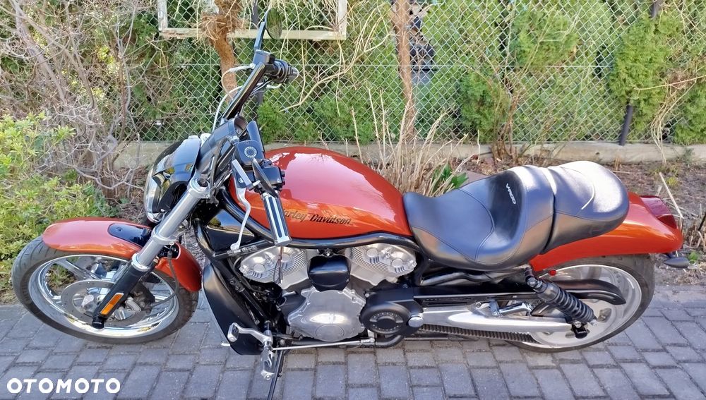 Harley-Davidson Softail V-Rod - 19