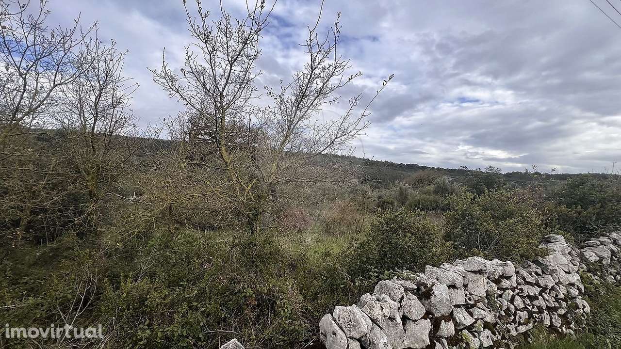 Terreno  para venda - Grande imagem: 2/6