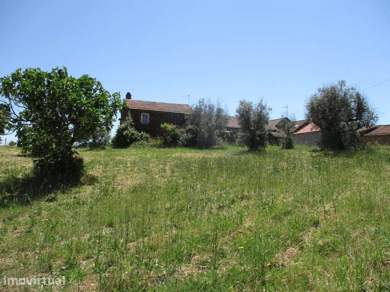 Casa de campo, terreno, Malhada do Cervo - Grande imagem: 3/18