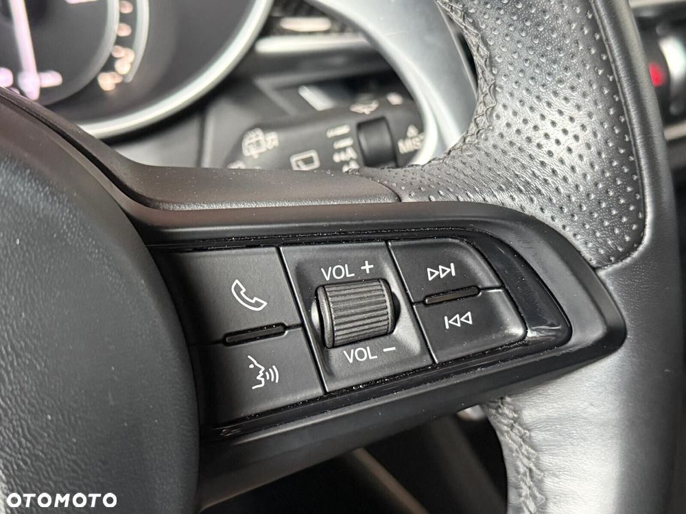 Alfa Romeo Stelvio 2.0 Turbo Veloce TI Q4 - 18